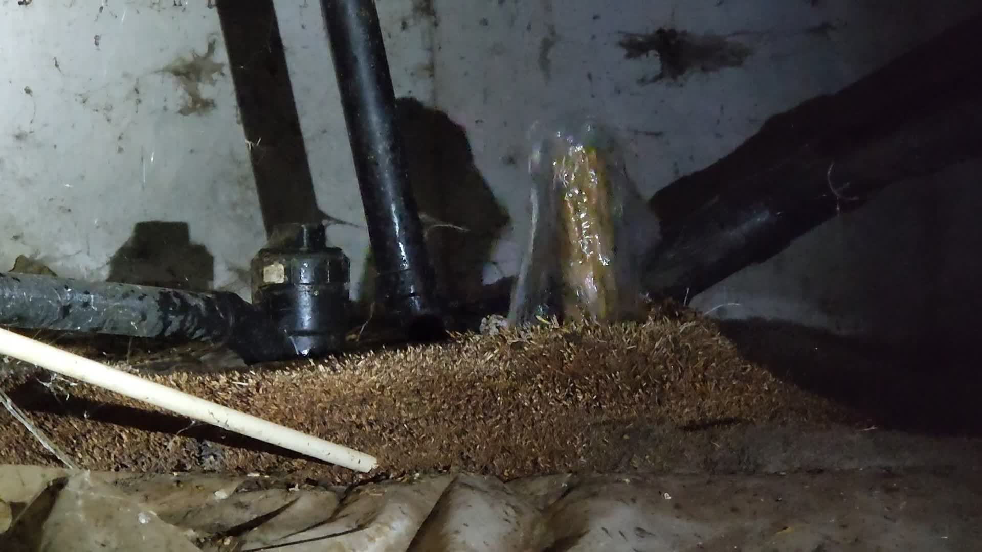 Sewer line work in the crawlspace, Mountaintop Plumbing